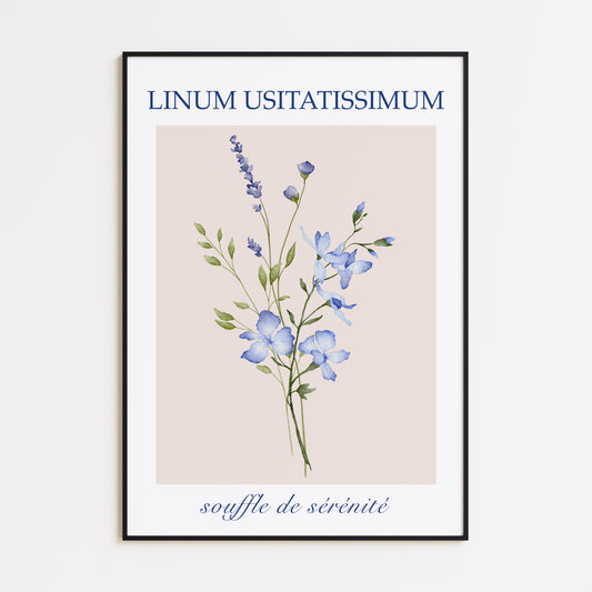 Linum Usitatissimum Poster