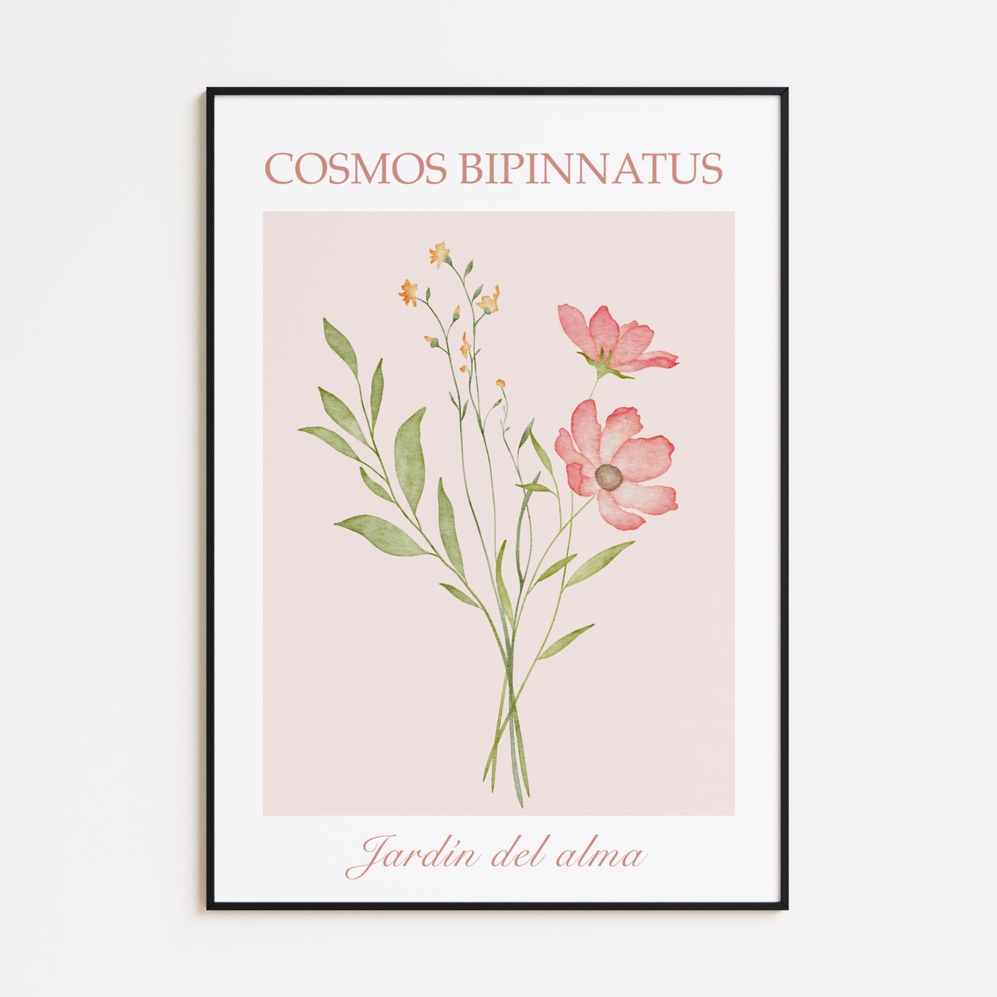 Cosmos Bipinnatus Poster