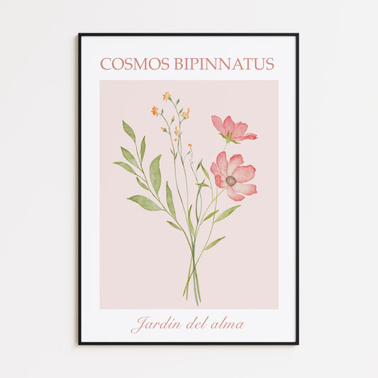 Cosmos Bipinnatus Poster