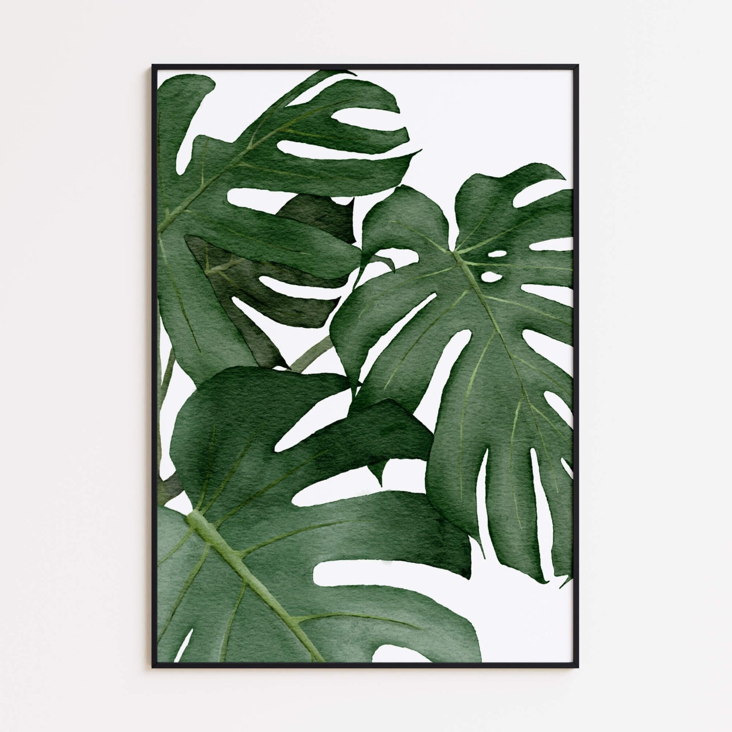 Monstera Blätter Poster