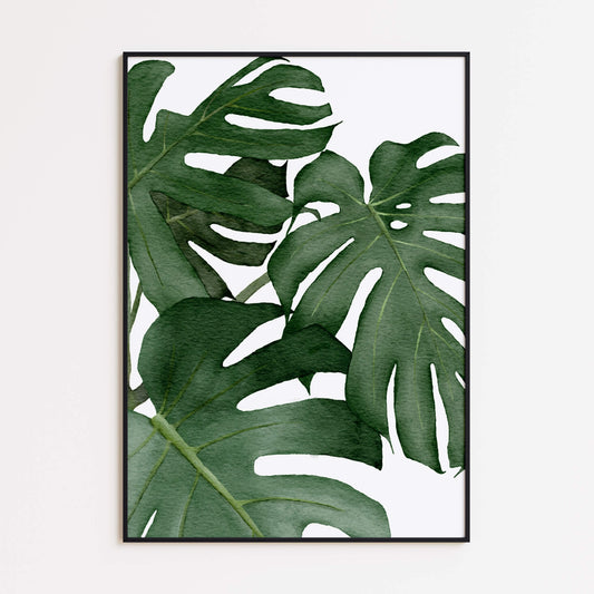 Monstera Blätter Poster