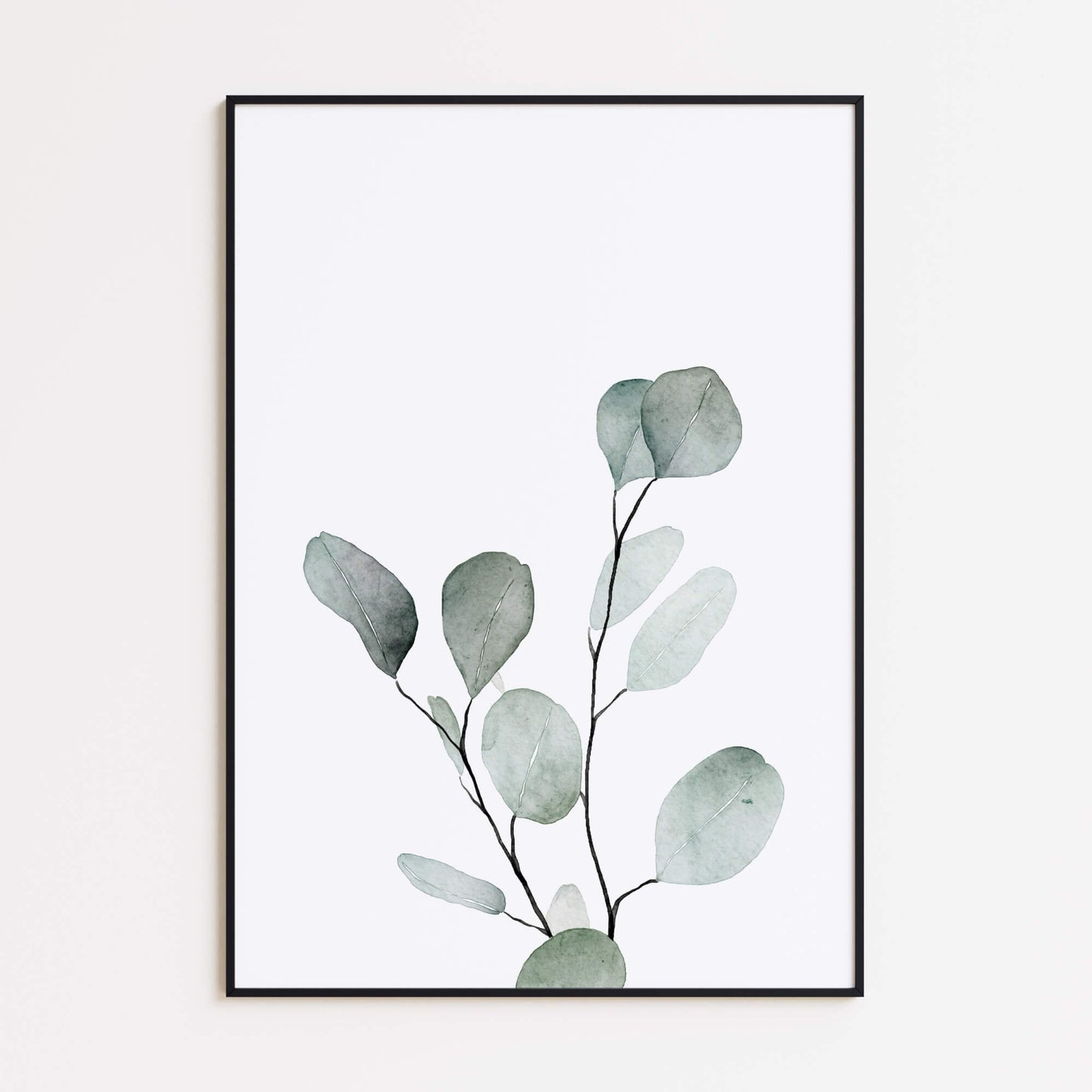 Eukalyptus Poster Set