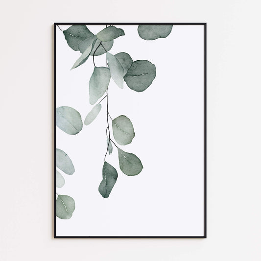 Hängender Eukalyptus Poster