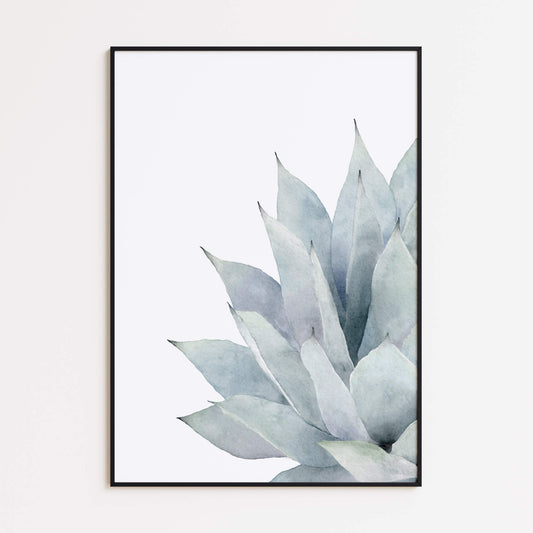 Sukkulente Aquarell Poster