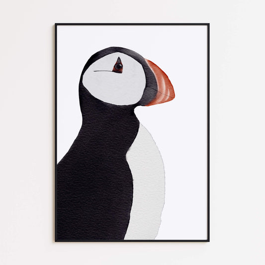 Papageientaucher Porträt Poster