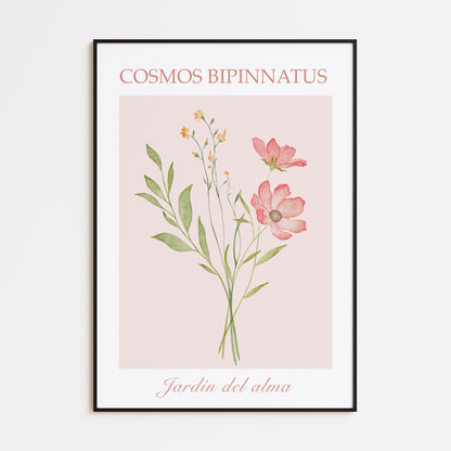Cosmos Bipinnatus Poster