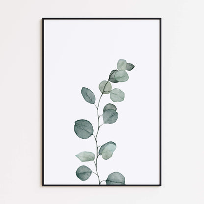 Eukalyptusstamm Poster