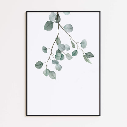 Eukalyptuszweig Aquarell Poster